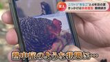 「きっかけは余命宣告」一緒に暮らし始めて4年目の夏、ニワトリおじさんと“きなこ”の今に密着 | 名古屋・愛知・岐阜・三重のニュース【CBC news】 | CBC web