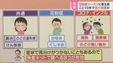 今年の「花粉」は10年で最大規模か　コロナ・インフルとの症状の違いは？【ひるおび】|TBS NEWS DIG