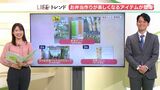LIFE トレンド お弁当作りが楽しくなる便利グッズランキング(静岡県) | 静岡のニュース | SBSNEWS | 静岡放送