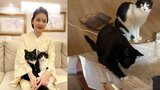 【ねこ】藤あや子さん「色黒のチンピラ」に絡まれる　実は愛猫 “マル” アンケート用紙にねこパンチ連打　 “オレオ” は観戦|TBS NEWS DIG