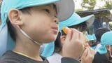 生産量 “全国4位” 熊本の温州ミカン　ジューシーくんが園児にプレゼント！地元の旬その味は？|TBS NEWS DIG