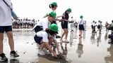 「御前崎の砂浜に元気な姿で戻って来てくれたら」小学生が学校で育てたアカウミガメを海に放流=静岡・御前崎市|TBS NEWS DIG