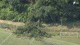 「置いてあった椅子とかは金属が折れ曲がっていた」サッカーグラウンドで発生した倒木事故 木は重さに耐えきれず根の部分がちぎれて倒れたか ＝静岡・御殿場市　|　静岡のニュース | SBSNEWS | 静岡放送