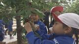 「大きいの見つけた~」園児が初夏の味覚・サクランボ狩り楽しむ|TBS NEWS DIG