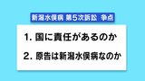 争点は「国に責任があるか」「原告は“新潟水俣病”か」 新潟水俣病・第5次訴訟が19日に結審|TBS NEWS DIG
