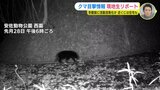 安佐動物公園内に野生のクマ　監視カメラがとらえる　冬眠前に活動活発化か　近くには住宅も　|　RCC NEWS | 広島ニュース | RCC中国放送