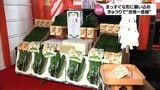 "合格一直線" 受験生応援の「きゅうり」 JAみやざきが販売へ | MRTニュース | MRT宮崎放送