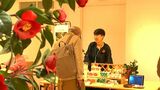 鹿児島県…実は「椿油」の生産量全国3位なんです 初開催の「椿マルシェ」にカヌレやアロマ | 鹿児島のニュース|MBC NEWS|南日本放送