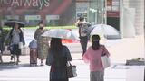 福島37℃の猛暑日予想 熱中症に警戒 すでに真夏日のところも【午前11時現在】 | 福島のニュース│TUF