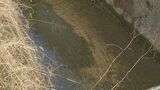高校生(当時)が自転車走行中に3メートル下の水路に転落 右足に後遺症 「安全性欠く」山口県に2200万円賠償命じる |TBS NEWS DIG