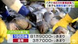 ピーク時の4％ほどまで低迷の青森県八戸市の水揚げ量　底上げ目指して初の「カキの養殖試験」浜の再生をかけてー　|　青森のニュース│ATV NEWS│青森テレビ