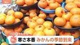 みかんの季節到来！ポイントは「色の濃さ」「軸の細さ」「皮のきめ細かさ」甘いみかんの見分け方【Nスタ解説】|TBS NEWS DIG