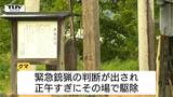 緊急銃猟でクマを駆除 県内今年に入り2件目(山形・鶴岡市) | 山形のニュース│TUYテレビユー山形
