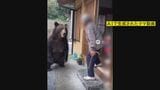 「さっさと山へお帰り!」 再生回数100万超も…クマの“フェイク動画”に専門家警鐘 「非常に罪深い」 冬眠始める12月頃までは注意を|TBS NEWS DIG