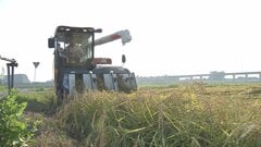 コメ価格　5キロ4275円2週連続4000円台　高止まり　今年のコメ生産は需要を“最大50万トン”上回る見通し| TBS CROSS DIG with Bloomberg