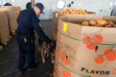 【今朝の５本】仕事を始める前に読んでおきたい厳選ニュース| TBS CROSS DIG with Bloomberg