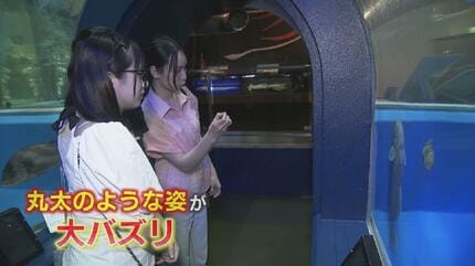嘘だと言って…」魚津水族館のアイドル “丸太のようなナガコバン” バン