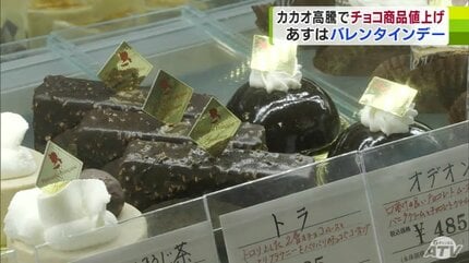 カカオ豆」歴史的な高値で「バレンタイン」に影響 「正直つらいです