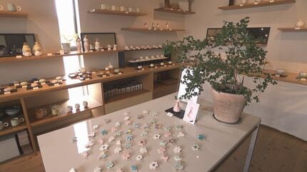 渡邉陽子　陶芸　クジャク　器　コップ　皿　陶器 渡邉陽子 陶芸 クジャク 器 コップ 皿 陶器 渡邉陽子 陶芸 クジャク 器