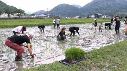 矢沢ファンのみんなが力をあわせて」今年も “永ちゃん田んぼ” の田植え
