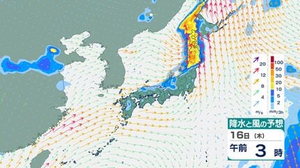 ☆様　雨月4個　秋彦11個 今後の雨は？】東日本～西日本で13日は落雷・突風・降ひょう・局地的な