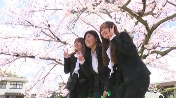 「専門性を高めて地元で貢献したい…」長野・飯田市の短期大学で入学式…満開の桜に彩られたキャンパスで…新入生が夢に向かって新たな一歩　|　SBC NEWS | 長野のニュース | SBC信越放送