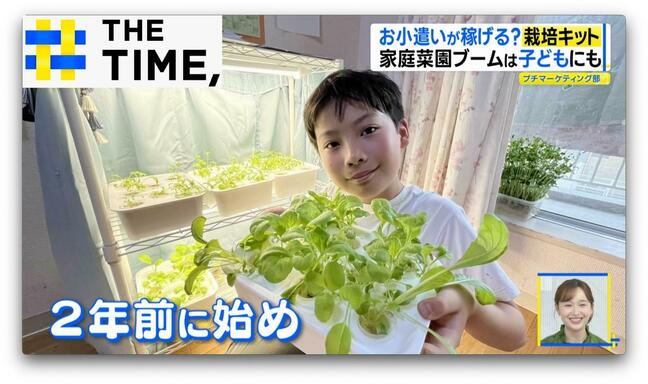 子どもにも“家庭菜園ブーム”「お小遣いが稼げる」3万円超栽培キットとは？【THE TIME,】 |TBS NEWS DIG