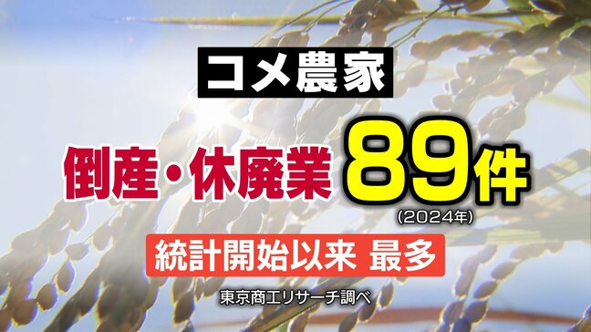 コメ農家「生き残りの岐路」 過去最多89件の倒産・休廃業…2025年はさらなる危機～コメ作り「あきらめ」さらに増加のおそれも～　東京商工リサーチが警鐘|TBS NEWS DIG