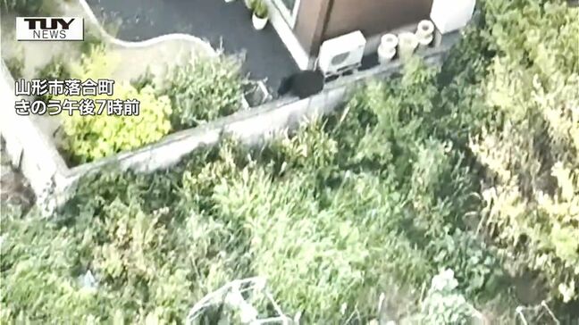 麻酔銃2発当たるも姿見えなくなり...山形市の住宅街などで目撃のクマ 未だ見つからず警戒続く(山形)|TBS NEWS DIG