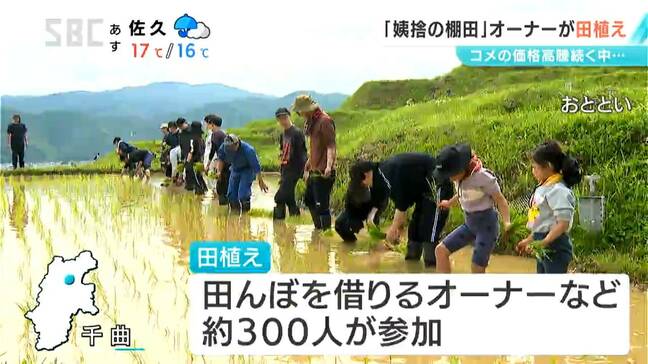 「おいしいお米に」コメの価格高騰の中…「姨捨の棚田」で田植え　オーナーら約300人が参加　順調にいけば稲刈りは9月下旬に予定　長野・千曲市|TBS NEWS DIG