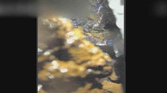 燃料デブリ、2回目の試験的取り出し　運搬用の箱に収容開始　東京電力福島第一原発2号機|TBS NEWS DIG