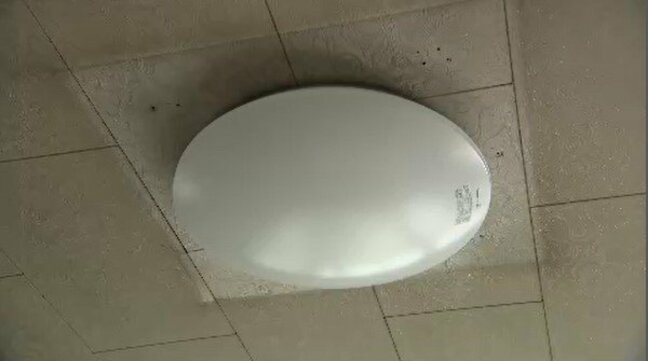 軽井沢町で一時2000戸余が停電 旧軽井沢銀座や軽井沢駅周辺など町の広い範囲で 復旧まで最大3時間 長野|TBS NEWS DIG