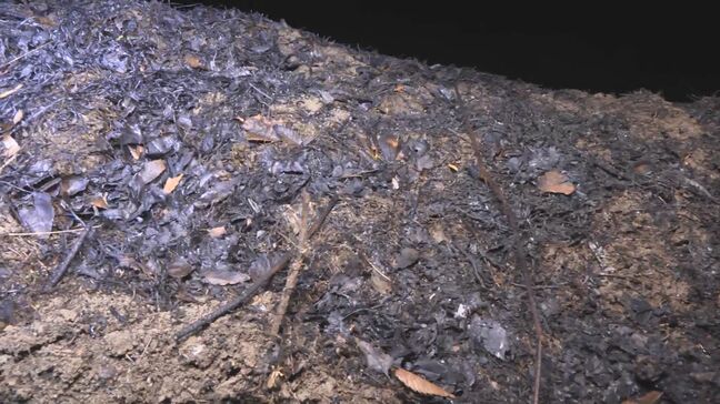 死亡したのは92歳男性　伊那市の下草火災の現場で見つかった遺体　長野|TBS NEWS DIG