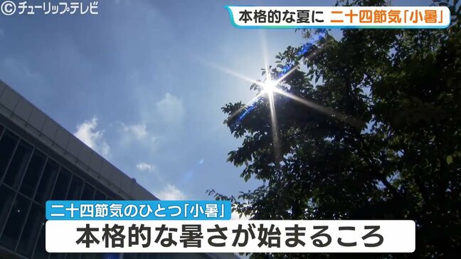 本格的な暑さの始まり「小暑」 富山(秋ケ島)で30.3℃の真夏日を観測…熱中症対策と午後の雨具の準備を|TBS NEWS DIG