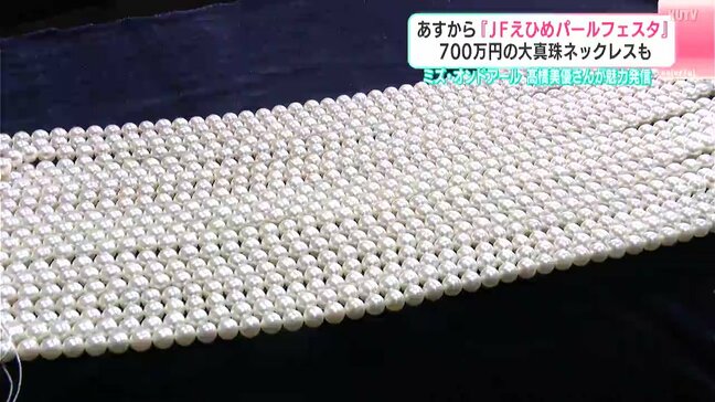 6日から『JFえひめパールフェスタ』700万円の大真珠ネックレスも　ミズ・オンドアールの髙橋美優さんが魅力発信|TBS NEWS DIG