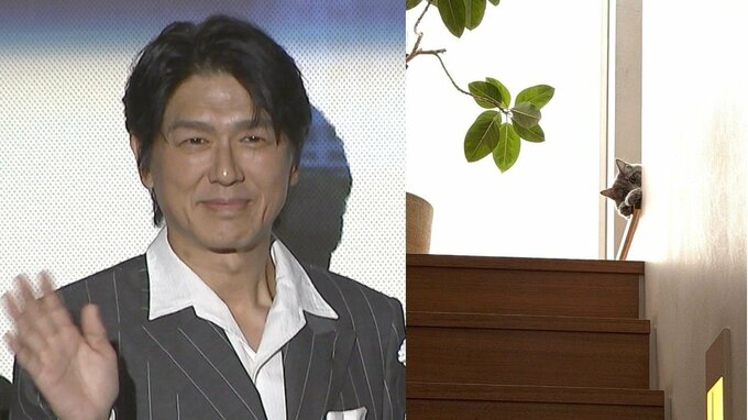【 ねこ 】高橋克典さん　愛猫ミルリィが階段に「すっかり家族」　自室の椅子にも「う、嬉しい」|TBS NEWS DIG