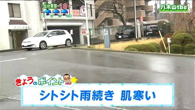【26日宮城の天気】一日を通してシトシト雨が降る【花粉予報・桜の開花情報 掲載】冬モードの服装が必要　tbc気象台|TBS NEWS DIG
