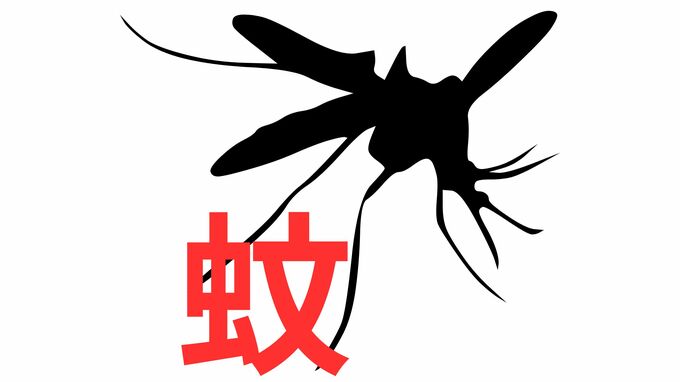 蚊をたたくときは「上下」で！「左右からパチン」は逃げられやすい　血を吸うのはメス　見分け方は？【害虫駆除の専門家が伝授】|TBS NEWS DIG