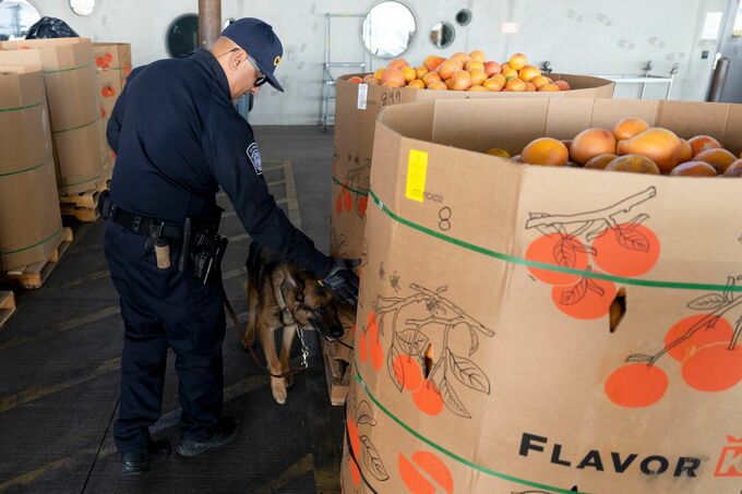 【今朝の５本】仕事を始める前に読んでおきたい厳選ニュース