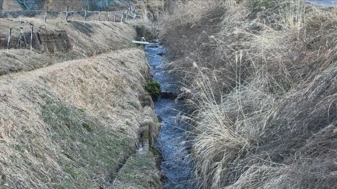 道路から約5メートル下の川に転落し死亡　高齢男性運転の軽乗用車　島根県警川本警察署|TBS NEWS DIG