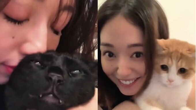 【保護猫】松島花「迎えて7年」「3匹それぞれ性格や可愛さが違って愛おしい」フォロワー共感「お互いにかけがえのない存在」|TBS NEWS DIG