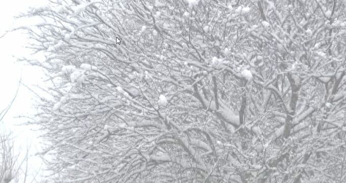大雪で物流にも影響 ヤマト運輸 石川・白山市の一部で荷物の収集・配達業務見合わせ　|　石川県のニュース｜MRO北陸放送