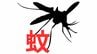 蚊をたたくときは「上下」で！「左右からパチン」は逃げられやすい　血を吸うのはメス　見分け方は？【害虫駆除の専門家が伝授】　|　岡山・香川のニュース | 天気 | RSK山陽放送
