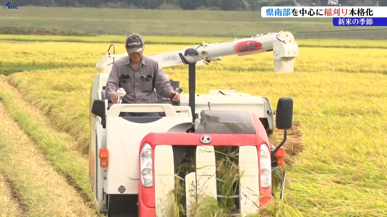 img_ba4664a8ffd74e98f75f18fc03