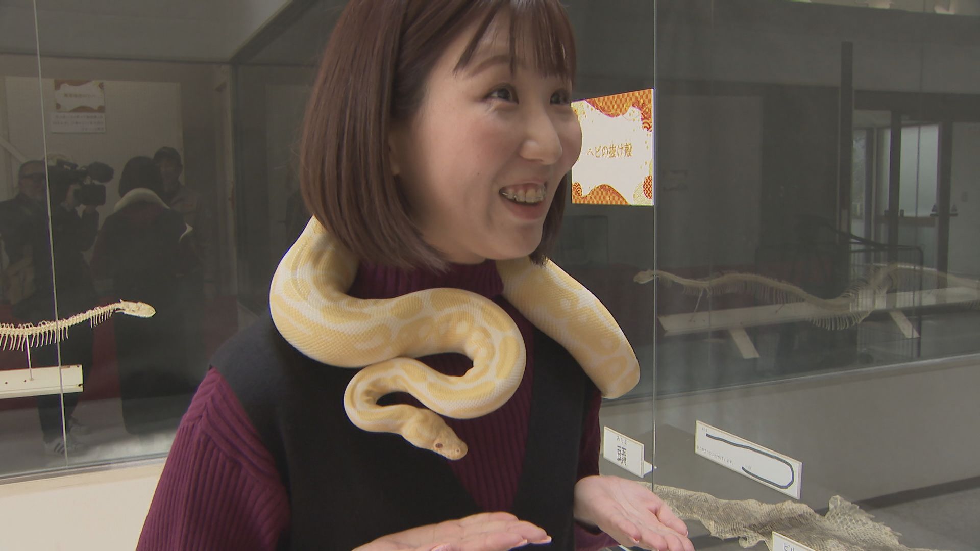 金運UPに？触れ合い体験も ヘビにちなんだ展示を開催中 山口県徳山