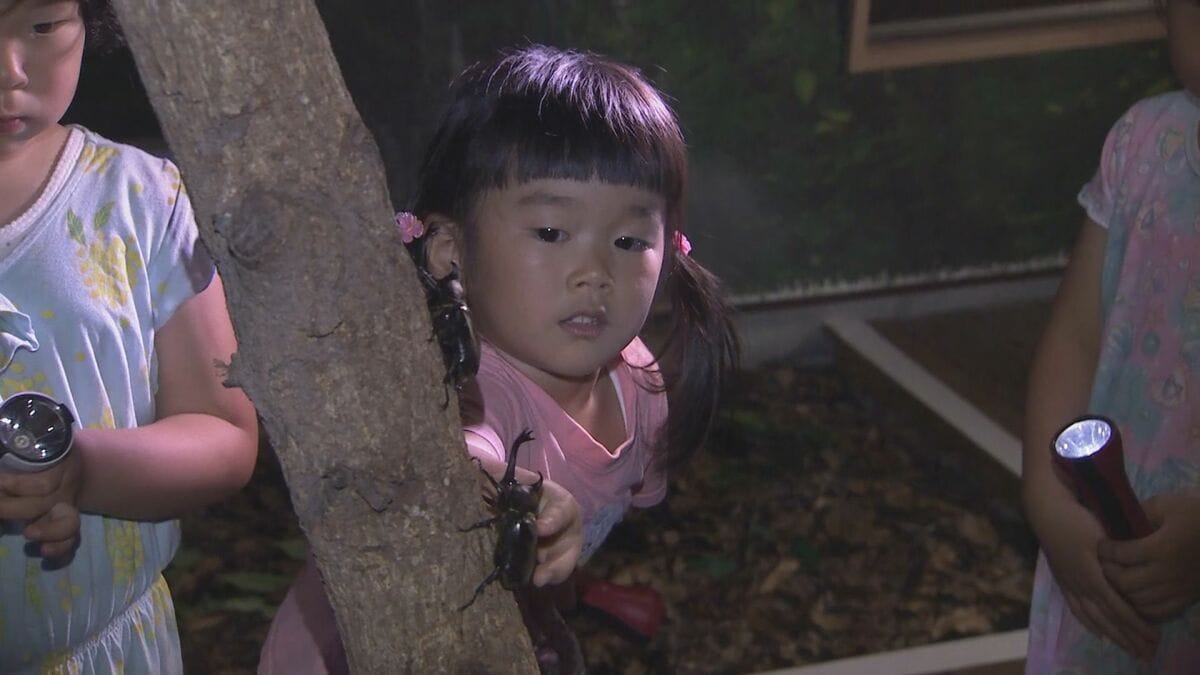 「かぶとむしふれあい館」プレオープン　子どもたちが“夜の生態”を観察　大分