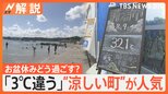 「3℃違う」100年以上猛暑知らずの町が人気 “異常温”お盆で外出中の室温に要注意【Nスタ解説】|TBS NEWS DIG