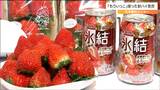 イチゴ「もういっこ」を使った酎ハイ“氷結”を今年も販売　去年は目標の1.5倍売れる　宮城|TBS NEWS DIG