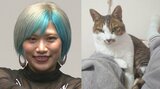 ぱーてぃーちゃん・信子さん「愛猫のぶりが旅立ち、14年と3ヶ月で生涯を終えました」「新年を迎えてそんなに経ってないのにもう1年分以上の涙を流した」|TBS NEWS DIG