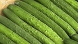 旬の「新川きゅうり」召し上がれ 生産組合が学校給食用に寄贈 みずみずしくパリッとした食感 富山|TBS NEWS DIG